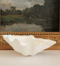 Load image into Gallery viewer, Genuine Clam Shell
