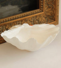 Load image into Gallery viewer, Genuine Clam Shell
