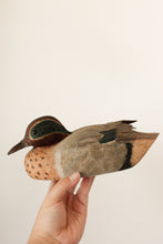 Load image into Gallery viewer, Hand Carved Wood &amp; Ceramic Mallard
