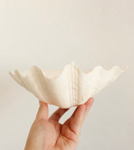 Load image into Gallery viewer, Genuine Clam Shell
