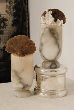 Load image into Gallery viewer, Vintage Large Alabaster Vase
